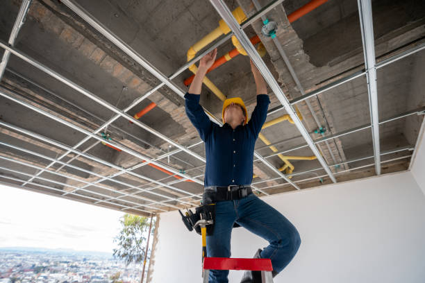 Best Residential Plumbing Services  in Shelton, NE