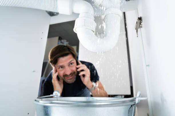 Best Clogged Drain Plumber  in Shelton, NE