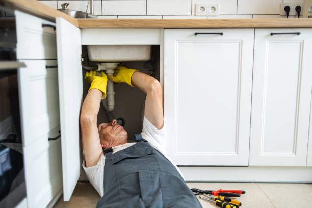 Best Residential Plumbing Services  in Shelton, NE