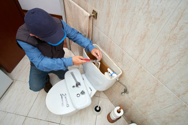 Best Commercial Plumbing Services  in Shelton, NE