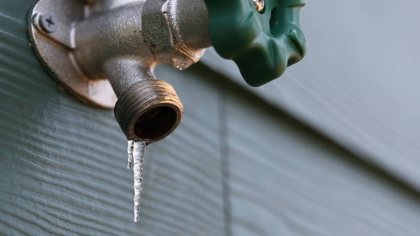  Shelton, NE Plumbing Pros