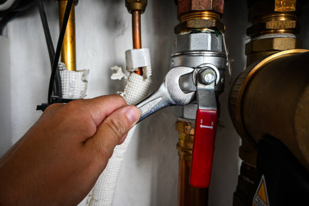Best Emergency Plumber  in Shelton, NE